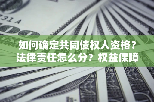 济南如何确定共同债权人资格？法律责任怎么分？权益保障技巧揭秘！