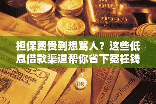 济南担保费贵到想骂人？这些低息借款渠道帮你省下冤枉钱