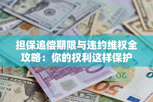 济南担保追偿期限与违约维权全攻略：你的权利这样保护